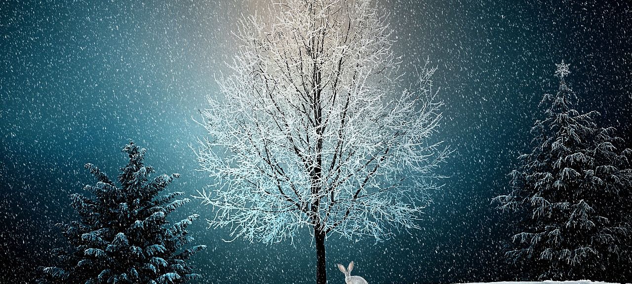 Wishing you the gifts of the season — Peace, Joy, Hope